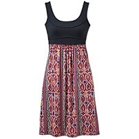 Sidekick Dress