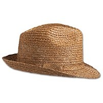 Raffia Braid Fedora