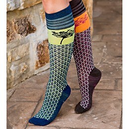 Compendium Knee Sock by SmartWool�
