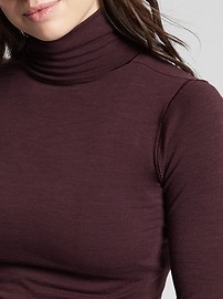 View large product image 3 of 3. Foresthill Ascent Seamless Turtleneck