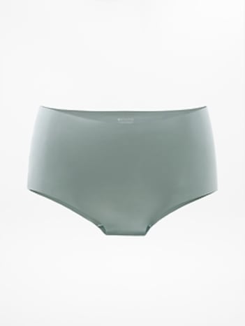 Sleek Form No Show Bikini Underwear